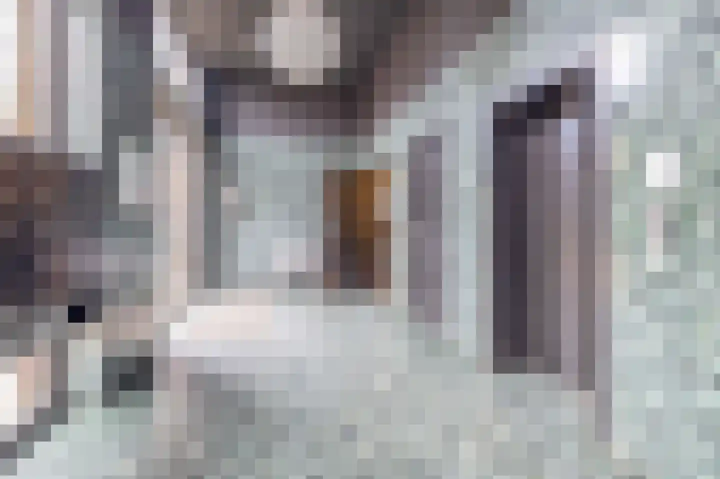 Sint-Jobskade 70 Rotterdam thumbnail 6