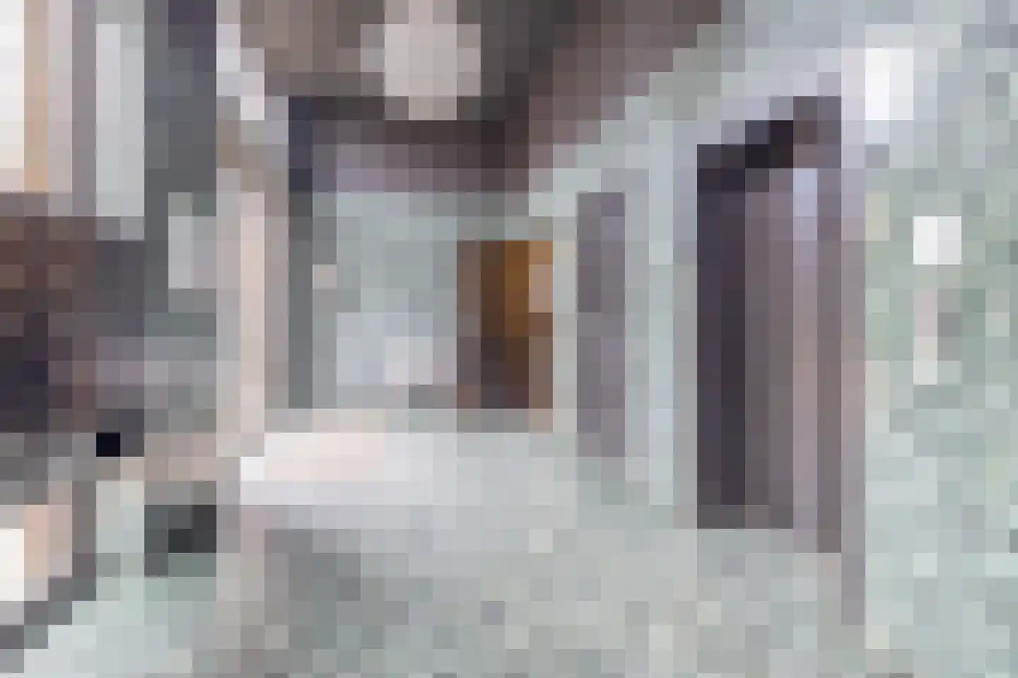 Sint-Jobskade 70 Rotterdam thumbnail 7