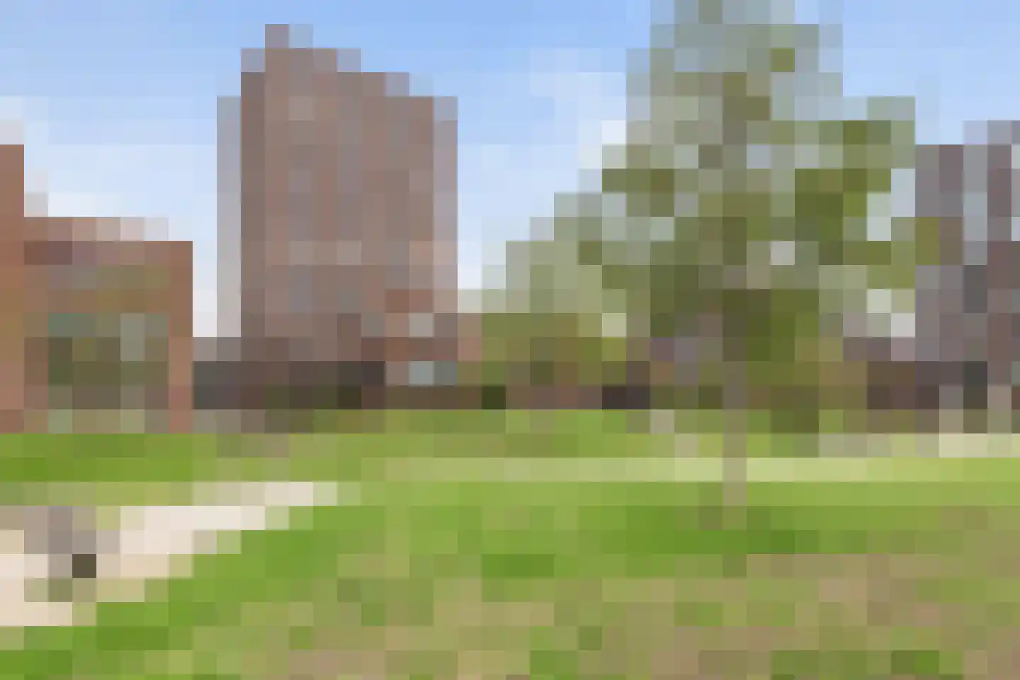 Sint-Jobskade 702 Rotterdam thumbnail 4
