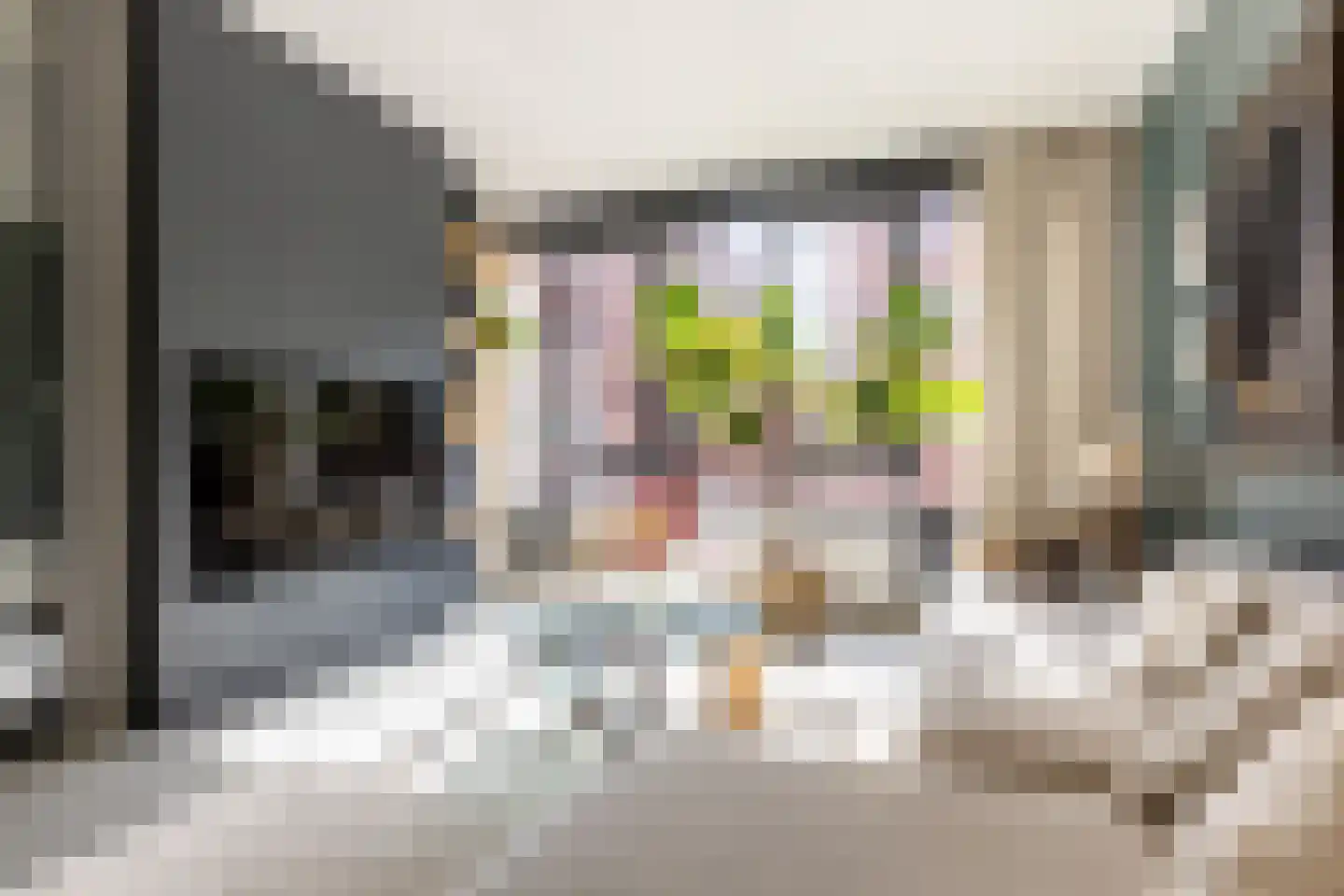 Sint-Jobskade 734 Rotterdam thumbnail 10