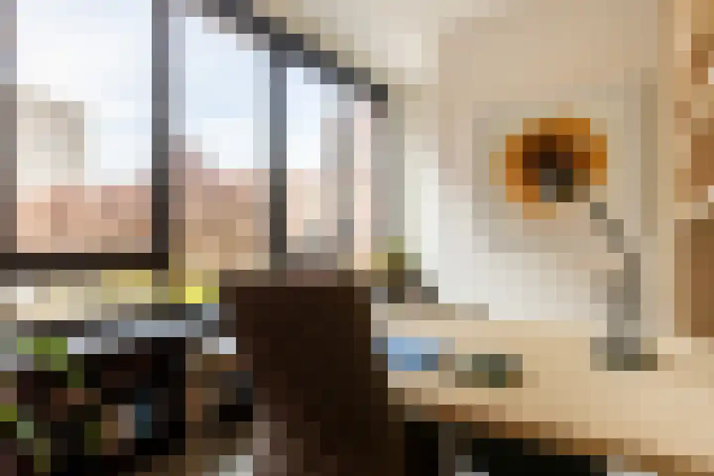 Sint-Jobskade 734 Rotterdam thumbnail 28