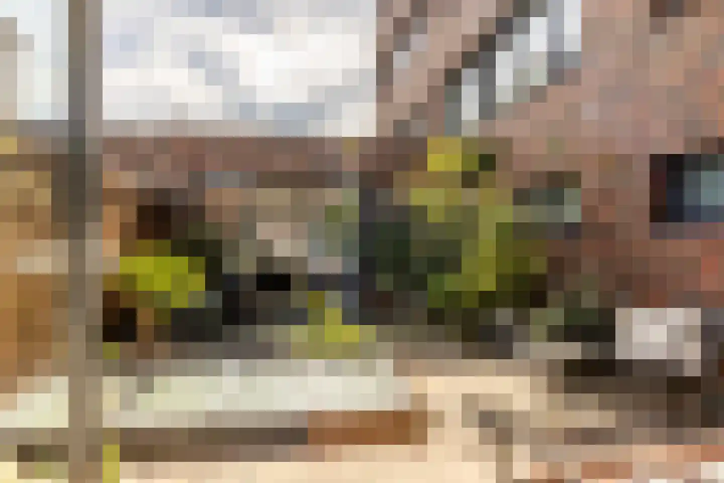 Sint-Jobskade 734 Rotterdam thumbnail 42