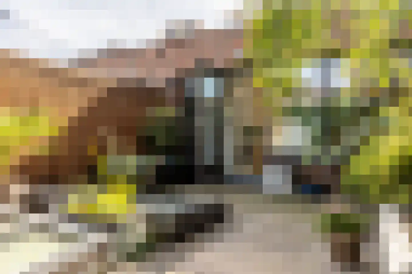 Sint-Jobskade 734 Rotterdam thumbnail 6