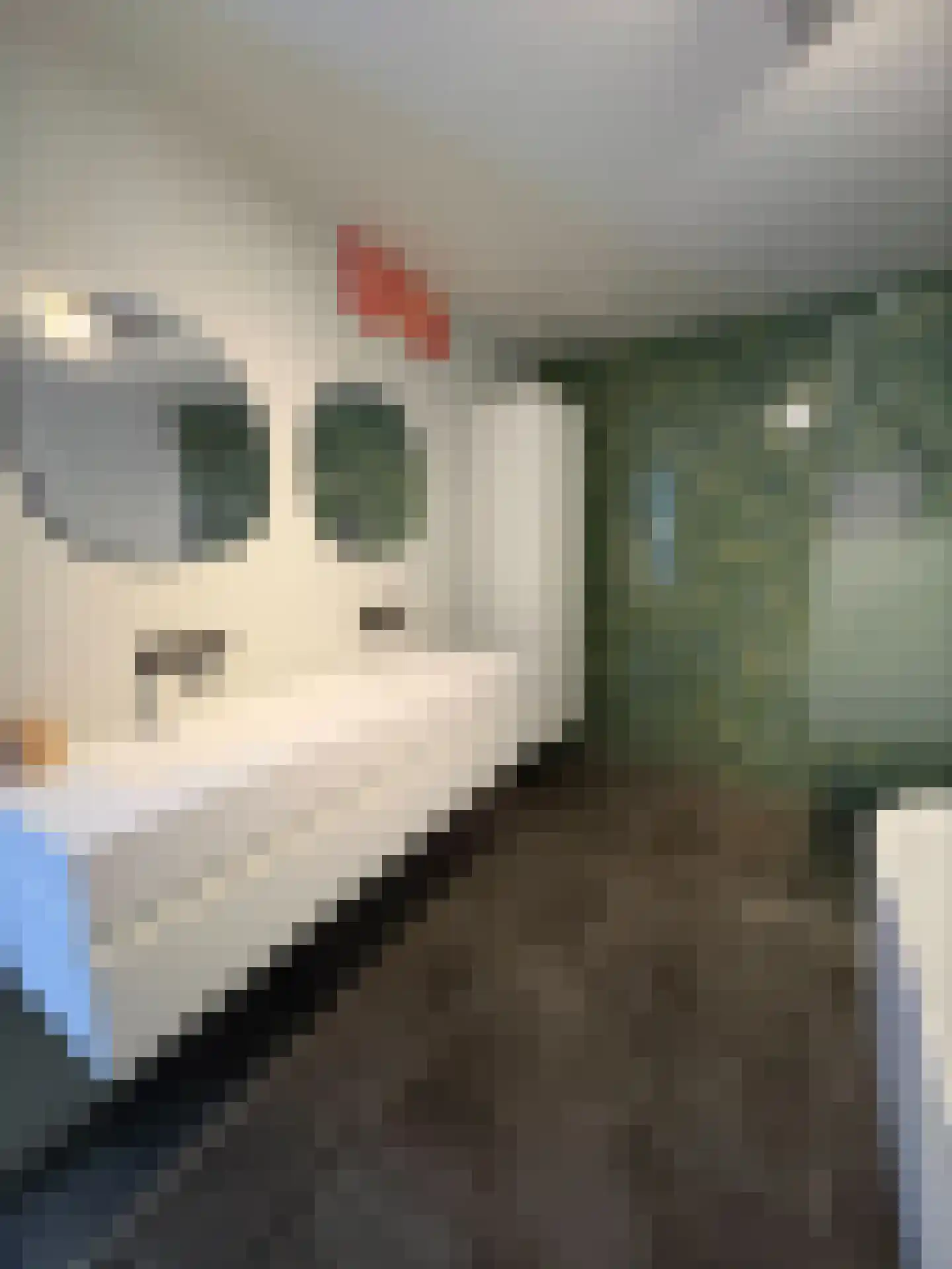 Sint-Jobskade 806 Rotterdam thumbnail 20