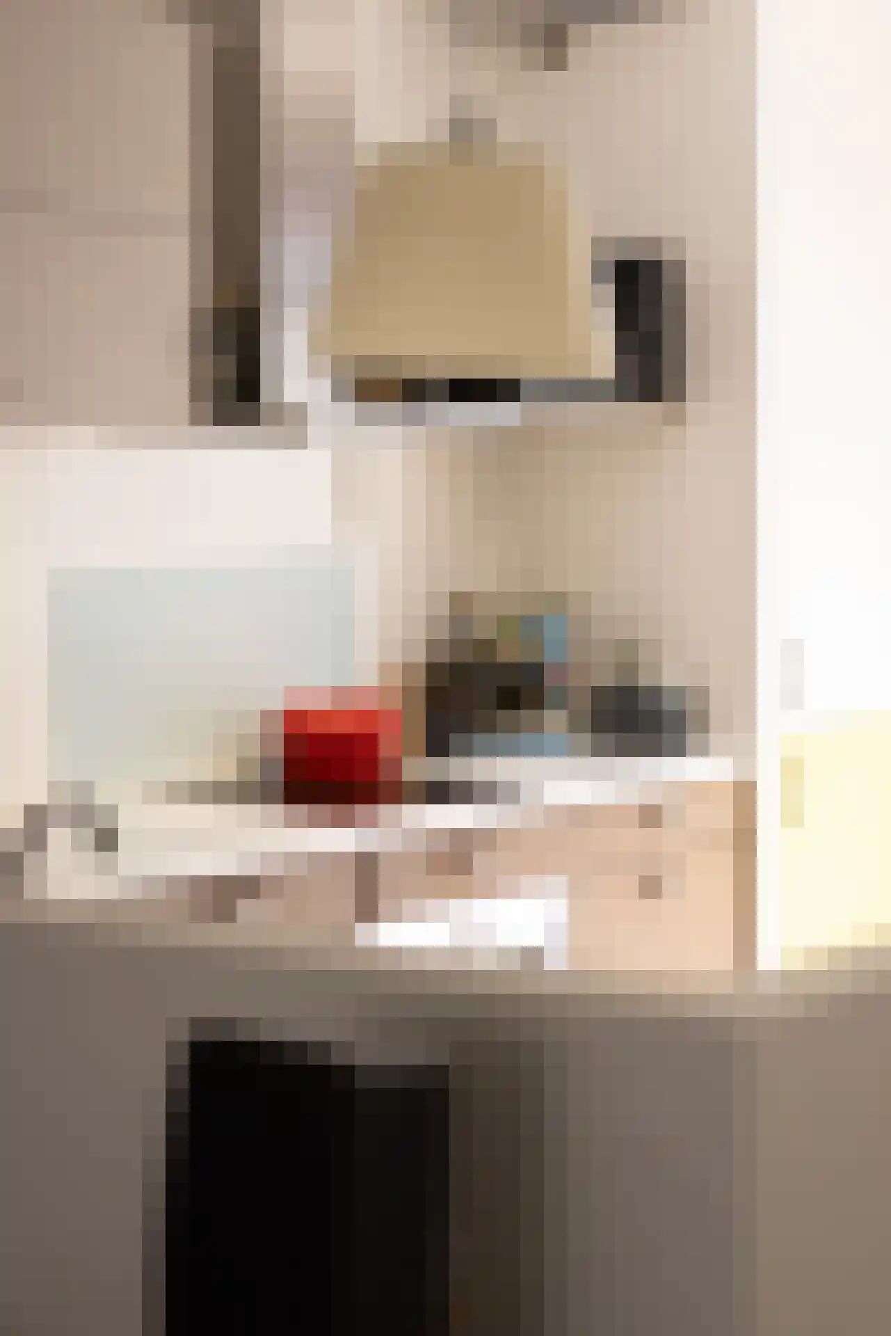 Sint-Jobskade 806 Rotterdam thumbnail 8