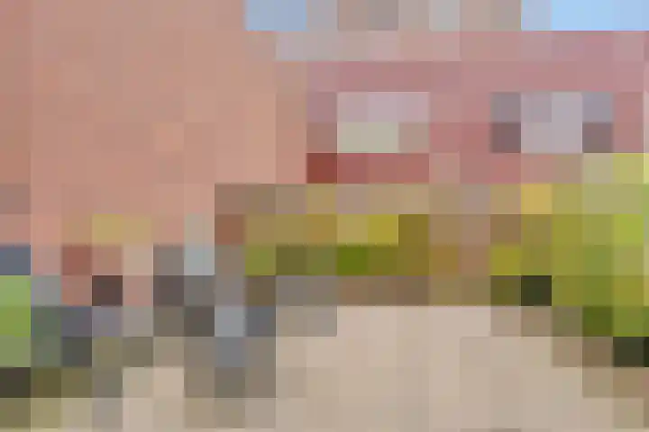 Sint-Jobskade 814 Rotterdam thumbnail 15