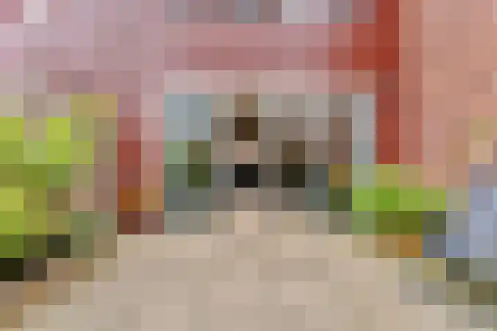 Sint-Jobskade 814 Rotterdam thumbnail 16