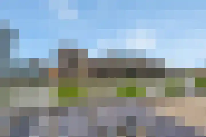 Sint-Jobskade 814 Rotterdam thumbnail 33