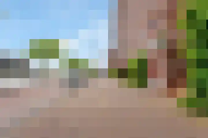 Sint-Jobskade 814 Rotterdam thumbnail 44