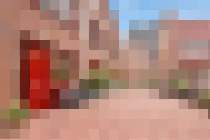 Sint-Jobskade 814 Rotterdam thumbnail 49