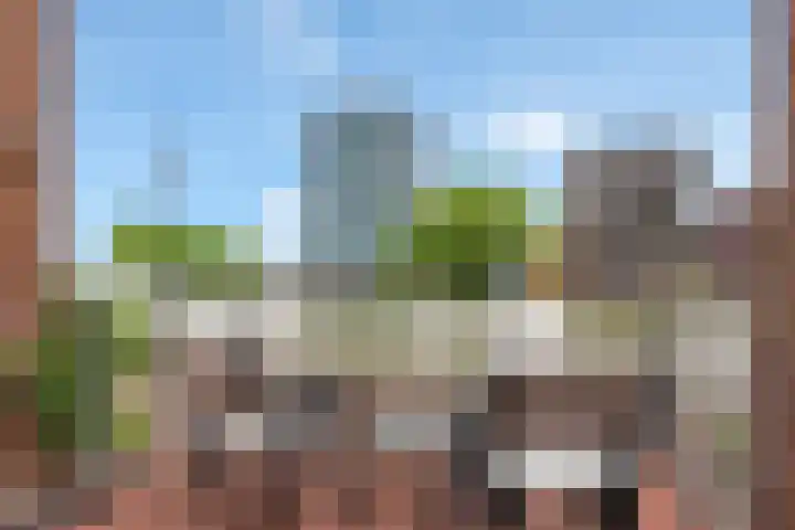Sint-Jobskade 814 Rotterdam thumbnail 8