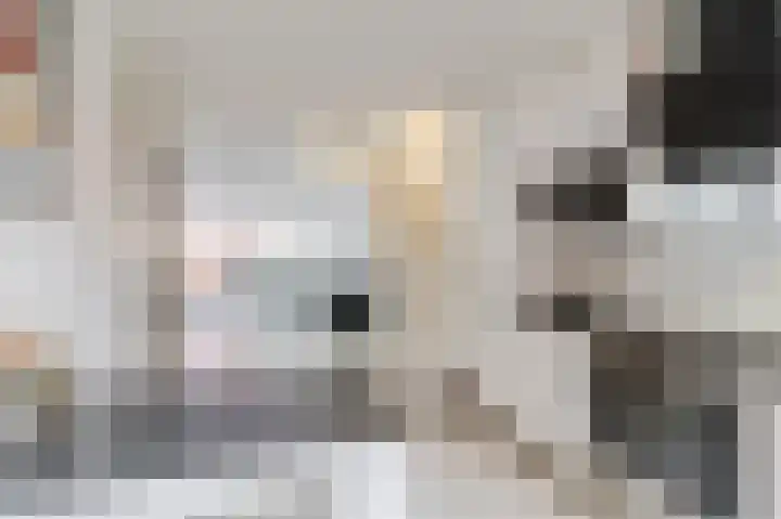 Sint-Jobskade 818 Rotterdam thumbnail 12