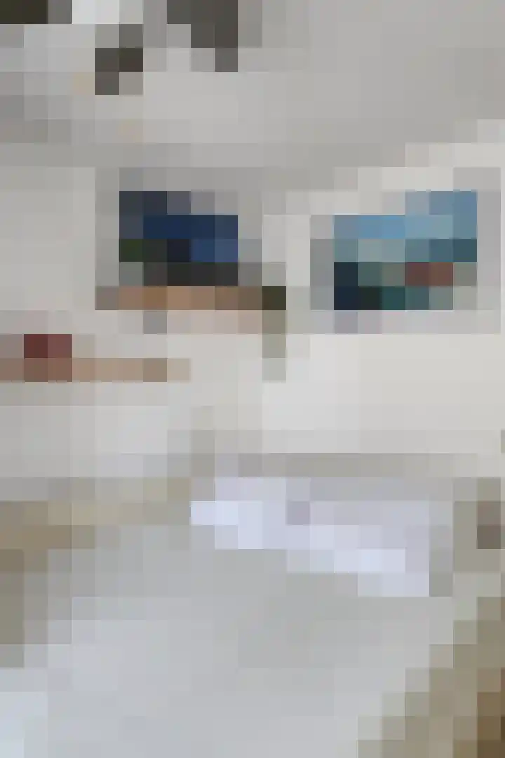Sint-Jobskade 818 Rotterdam thumbnail 34