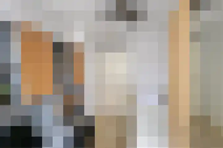 Sint-Jobskade 818 Rotterdam thumbnail 36