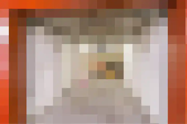 Sint-Jobskade 818 Rotterdam thumbnail 50