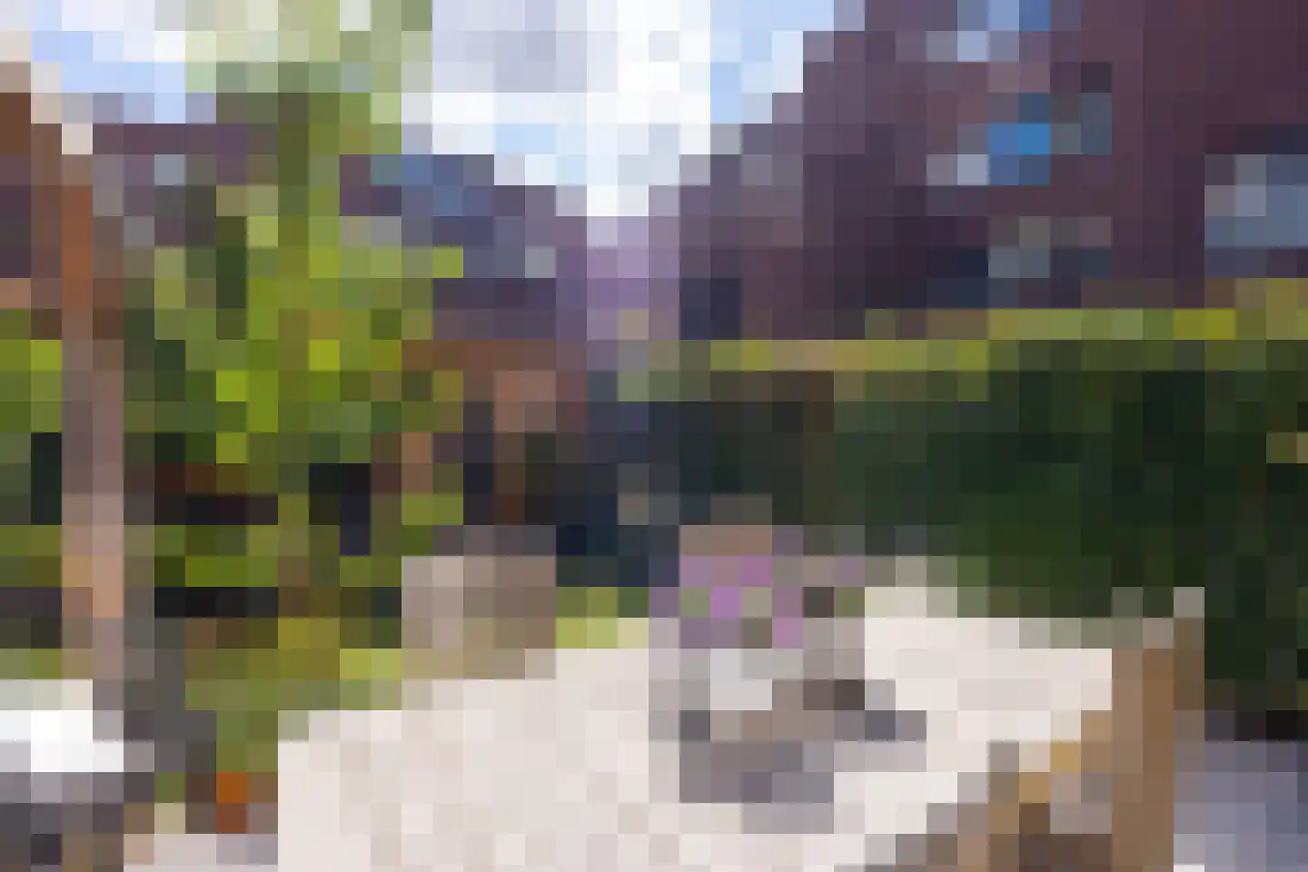Sint-Jobskade 982 Rotterdam thumbnail 4