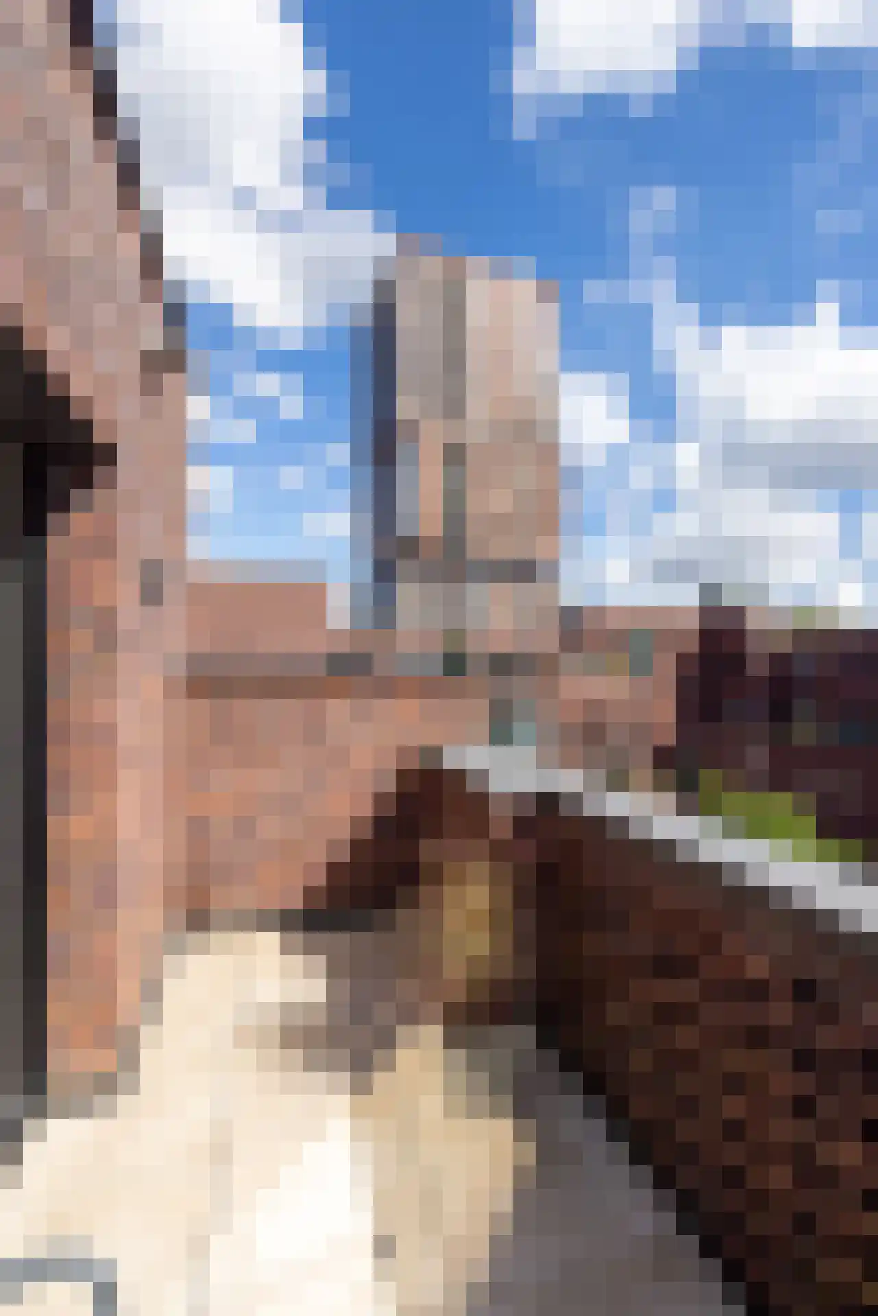 Sint-Jobskade 982 Rotterdam thumbnail 46