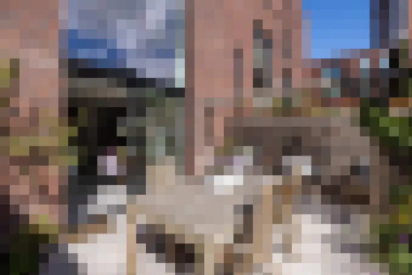 Sint-Jobskade 982 Rotterdam thumbnail 49
