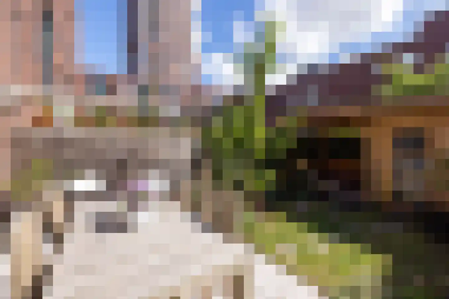 Sint-Jobskade 982 Rotterdam thumbnail 51