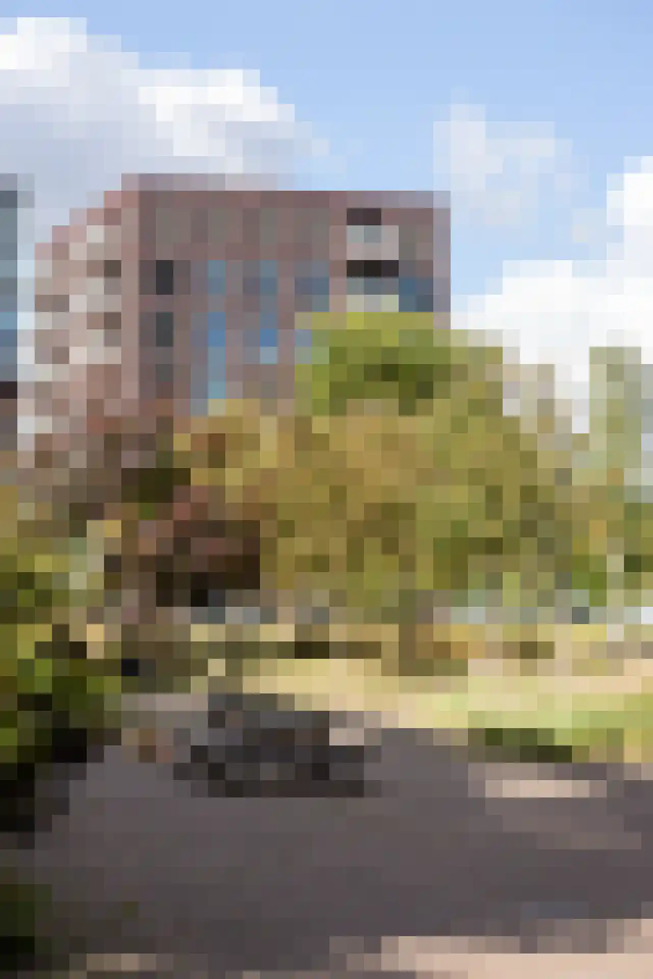 Sint-Jobskade 982 Rotterdam thumbnail 56