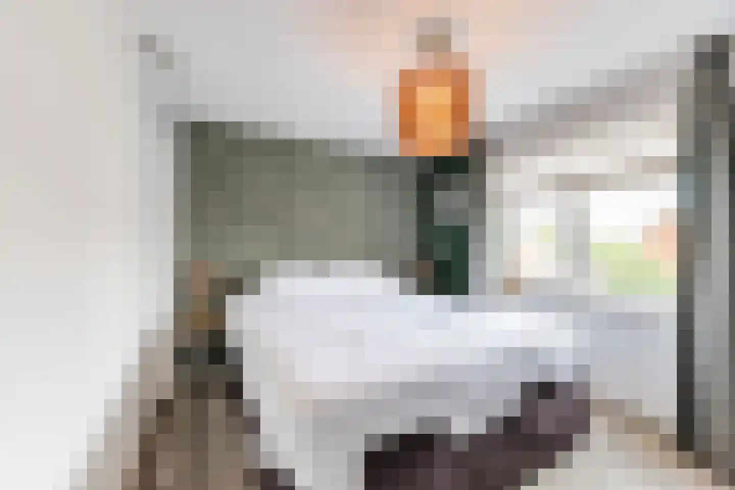 Sint Jobstraat 10 Berkel-Enschot thumbnail 27