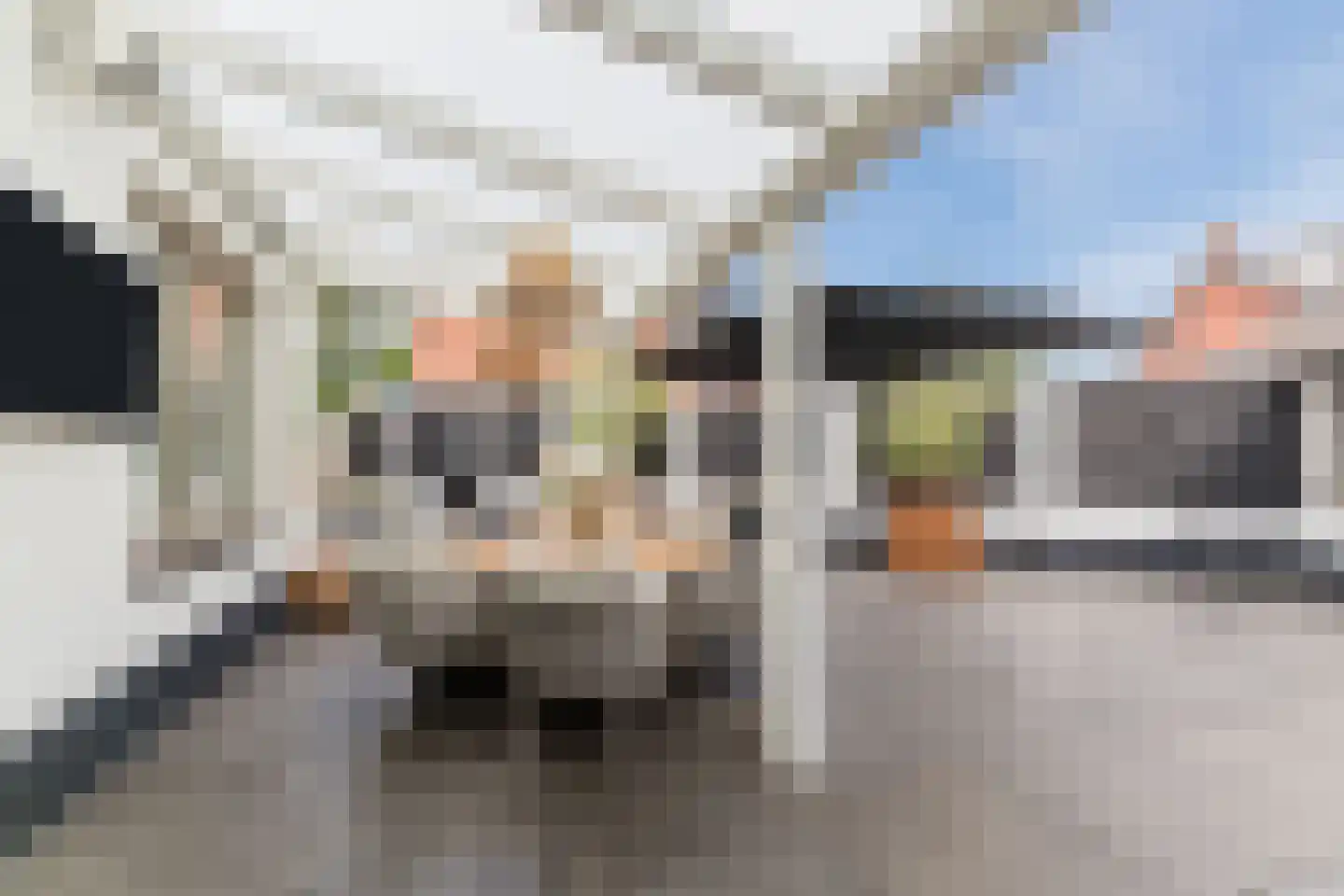Sint Jobstraat 10 Berkel-Enschot thumbnail 39