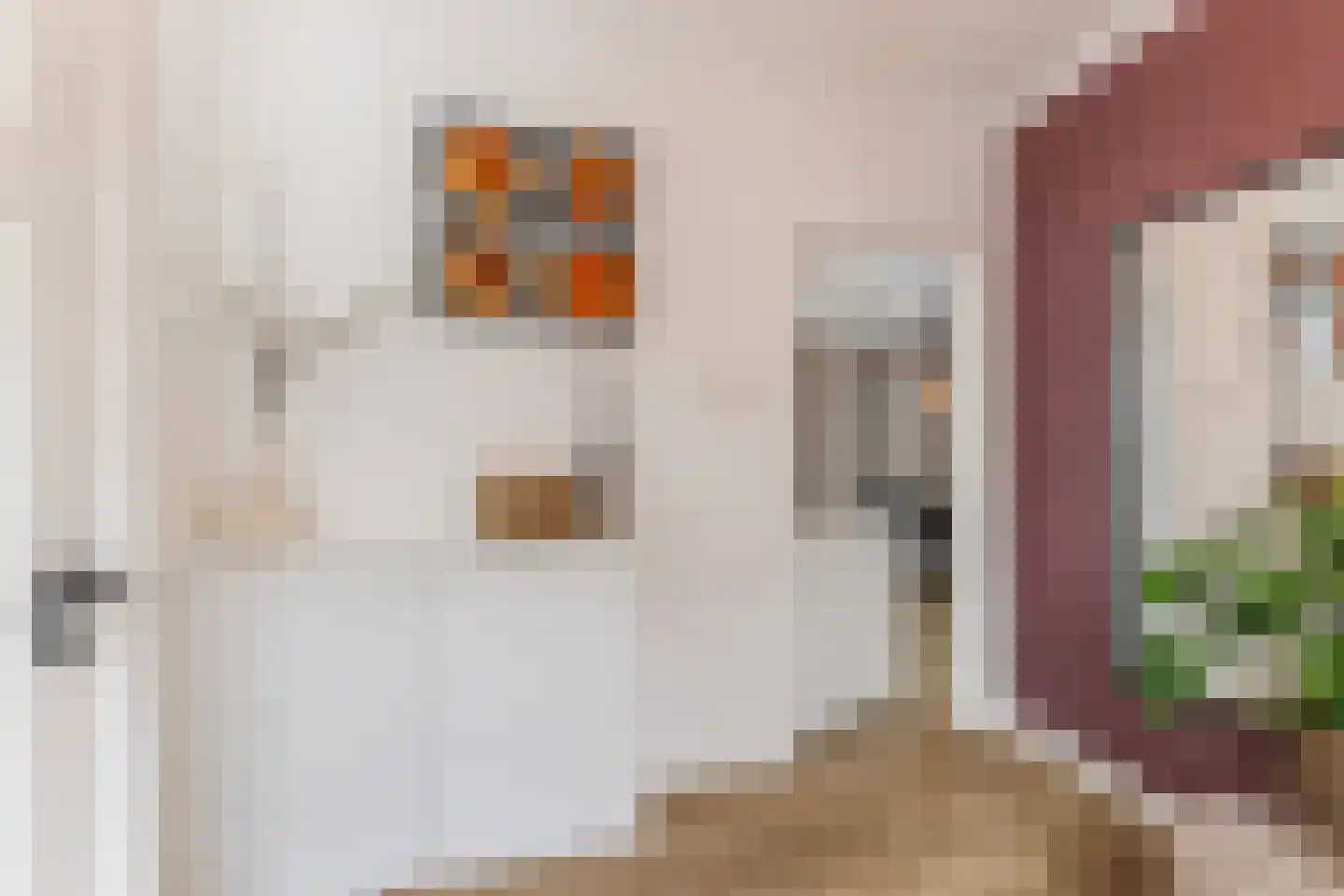 Sint Jobstraat 10 Berkel-Enschot thumbnail 9