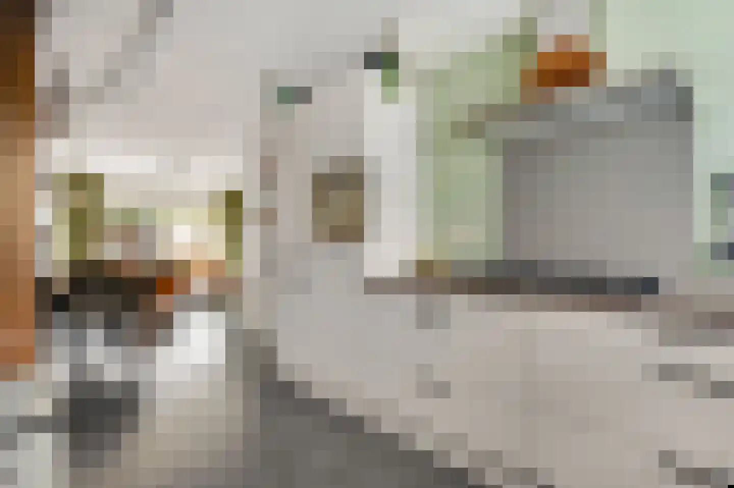 Sint Jobstraat 7 Weert thumbnail 12