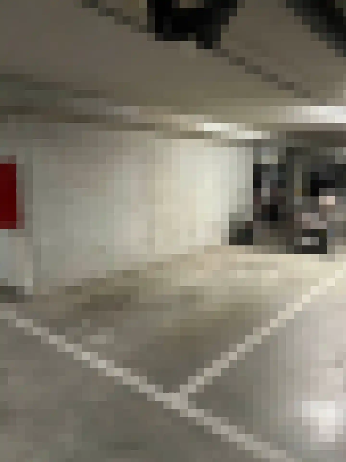 Sint-Jobsweg 116 Rotterdam thumbnail 14