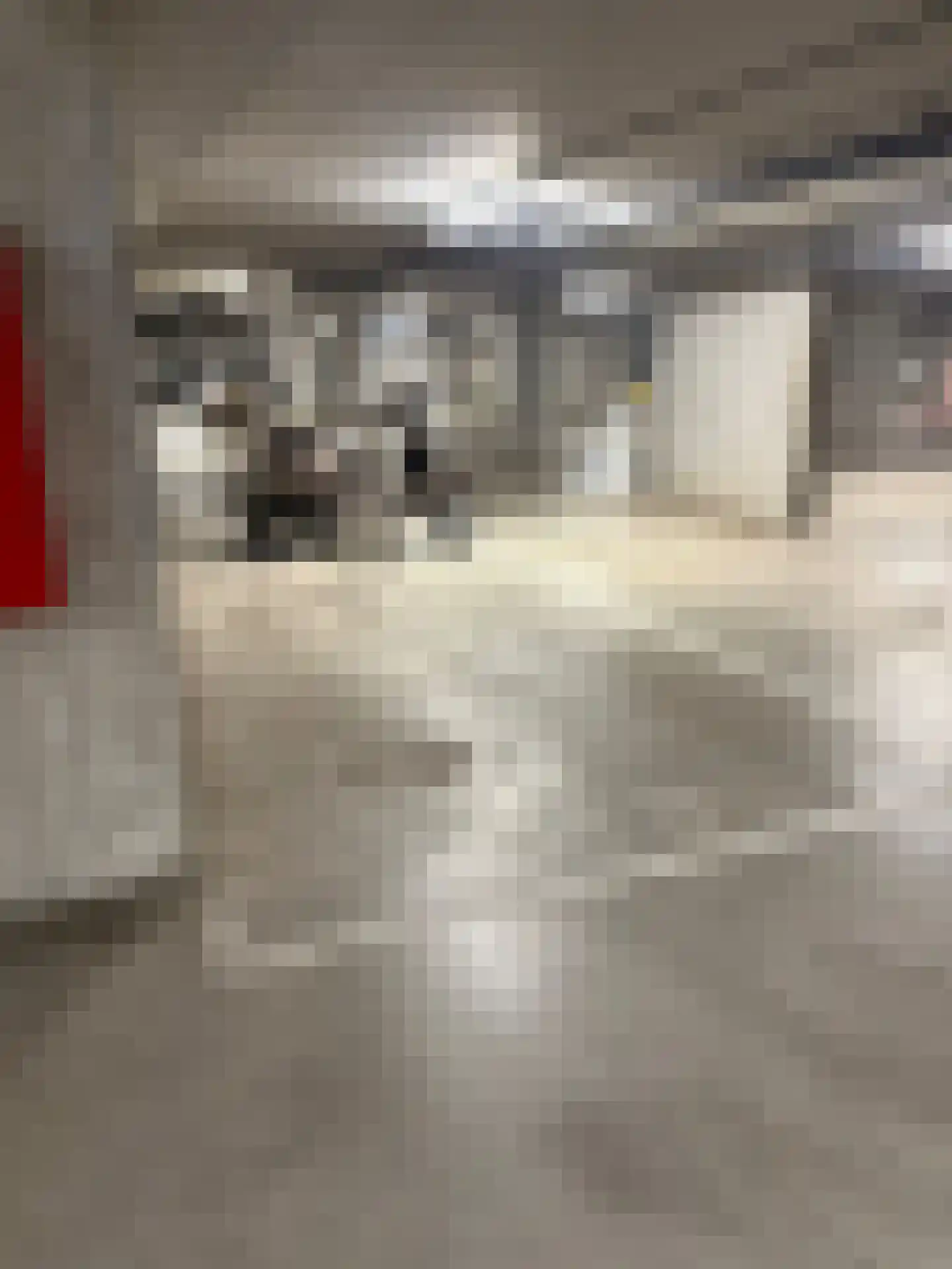 Sint-Jobsweg 116 Rotterdam thumbnail 19