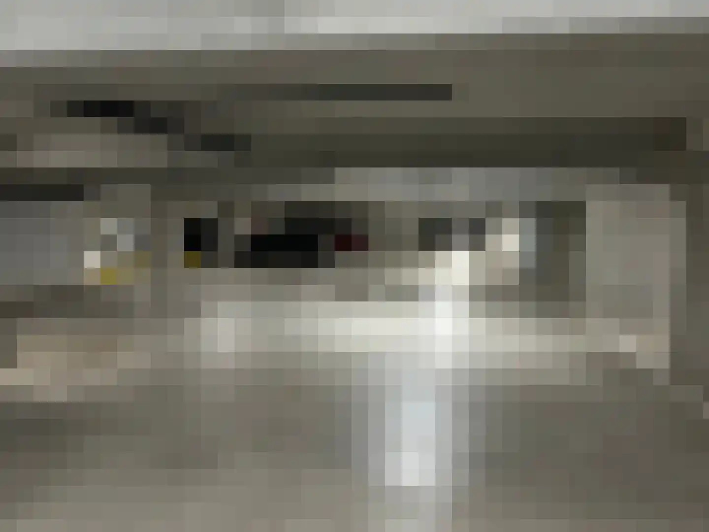 Sint-Jobsweg 116 Rotterdam thumbnail 6
