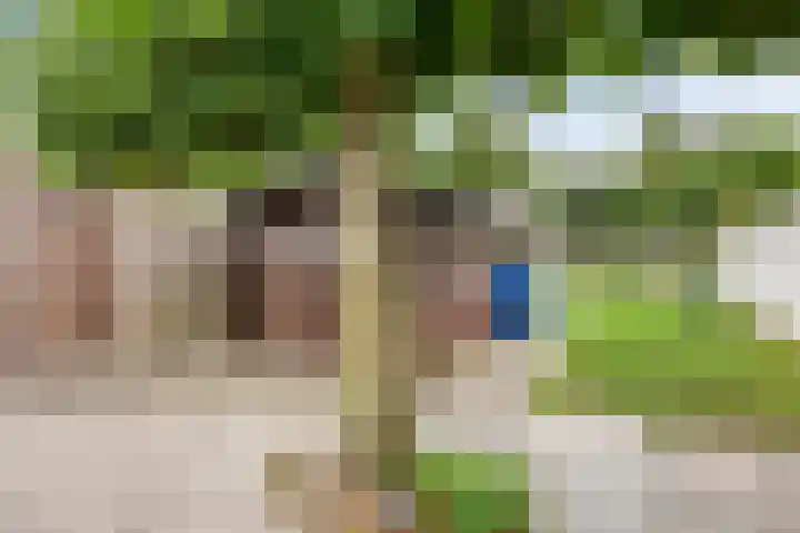 Sint Joostdijk 86 Oosterland thumbnail 19