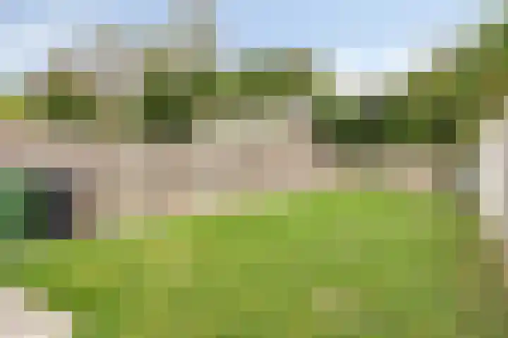Sint Joostdijk 86 Oosterland thumbnail 20