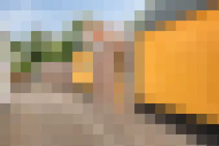 Sint Joostdijk 86 Oosterland thumbnail 8