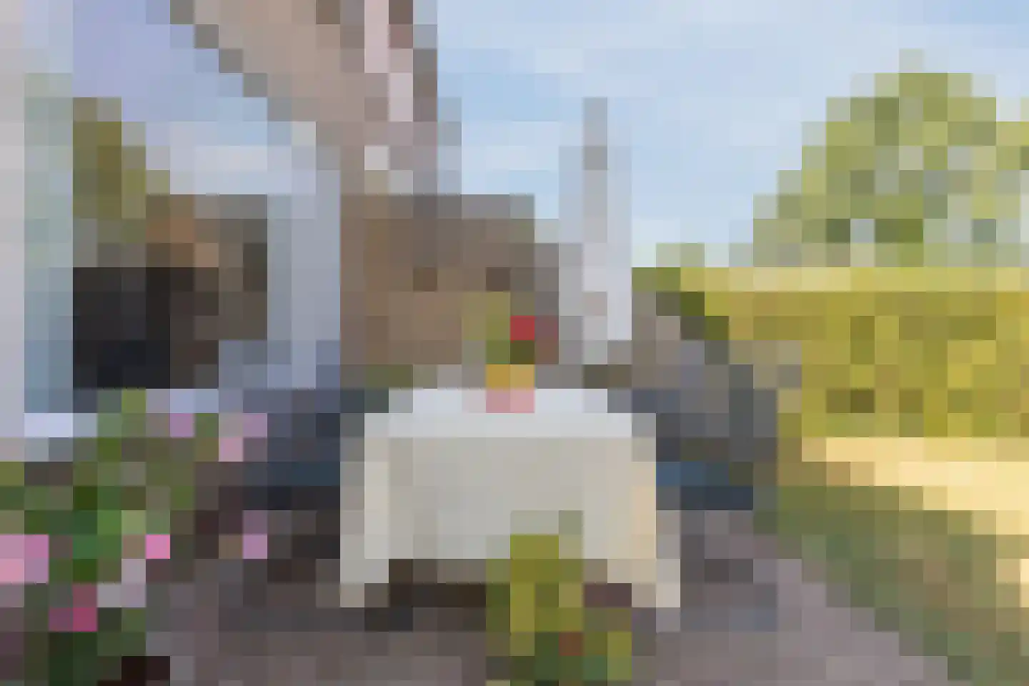 Sint Joosterbaan 18 Sint Joost thumbnail 21
