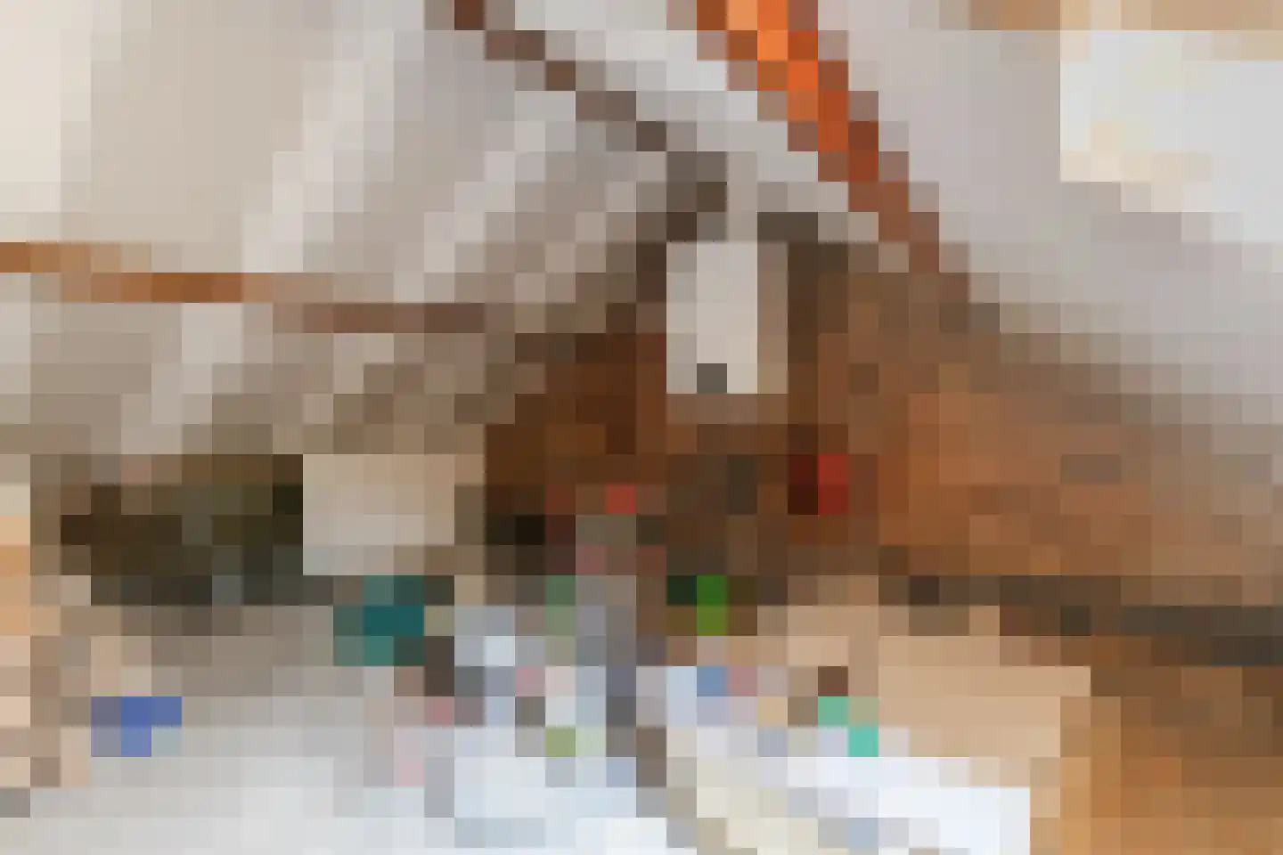 Sint Joosterbaan 19 Sint Joost thumbnail 36