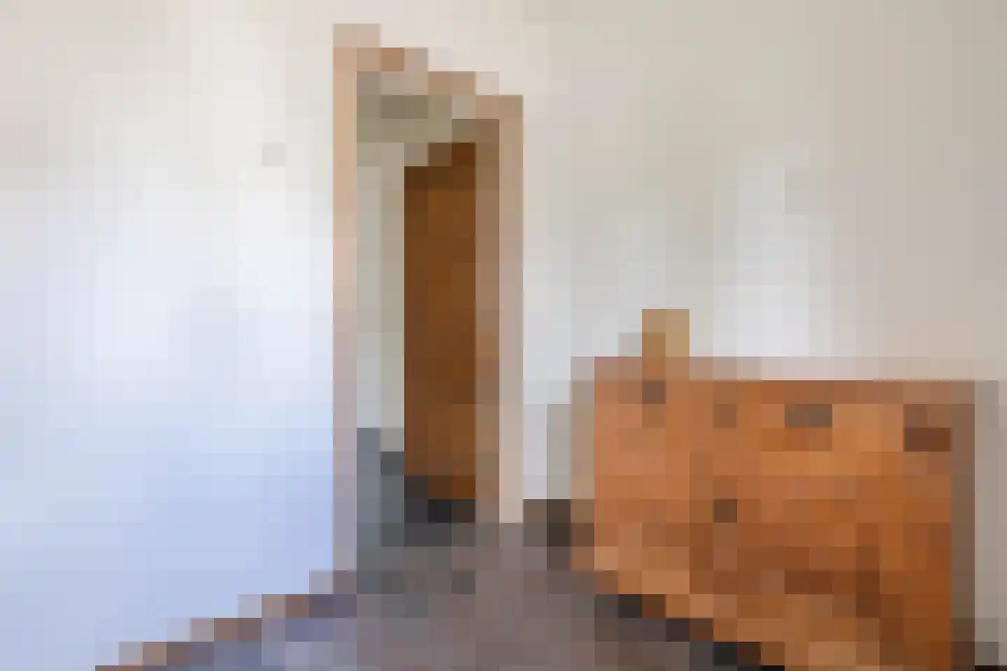 Sint Joosterbaan 19 Sint Joost thumbnail 8