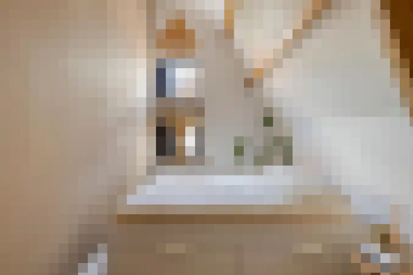 Sint Joostmeet 21 Zierikzee thumbnail 26