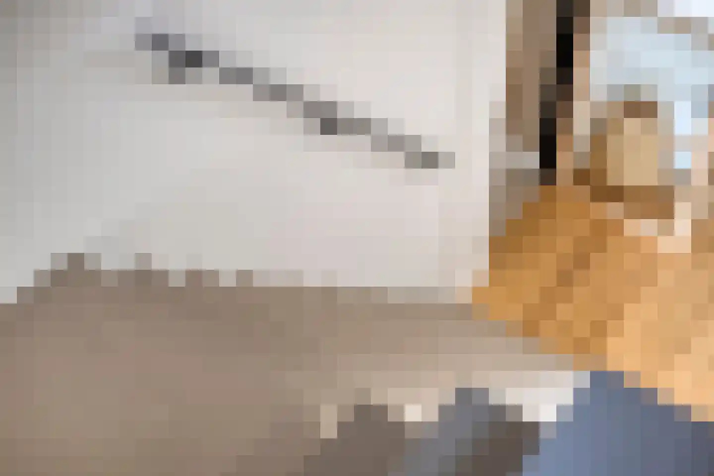 Sint Joostmeet 21 Zierikzee thumbnail 30