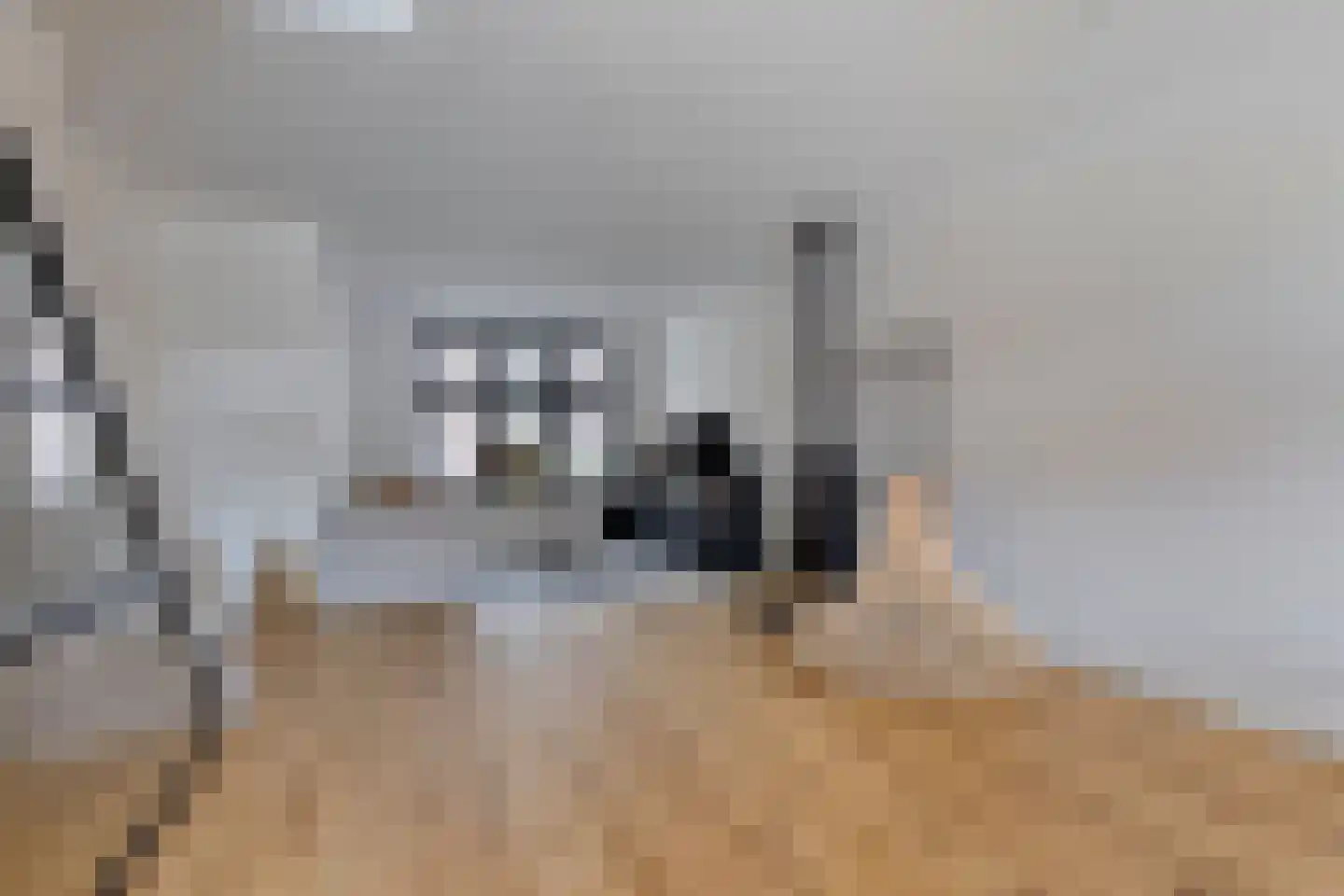 Sint Joostmeet 21 Zierikzee thumbnail 7