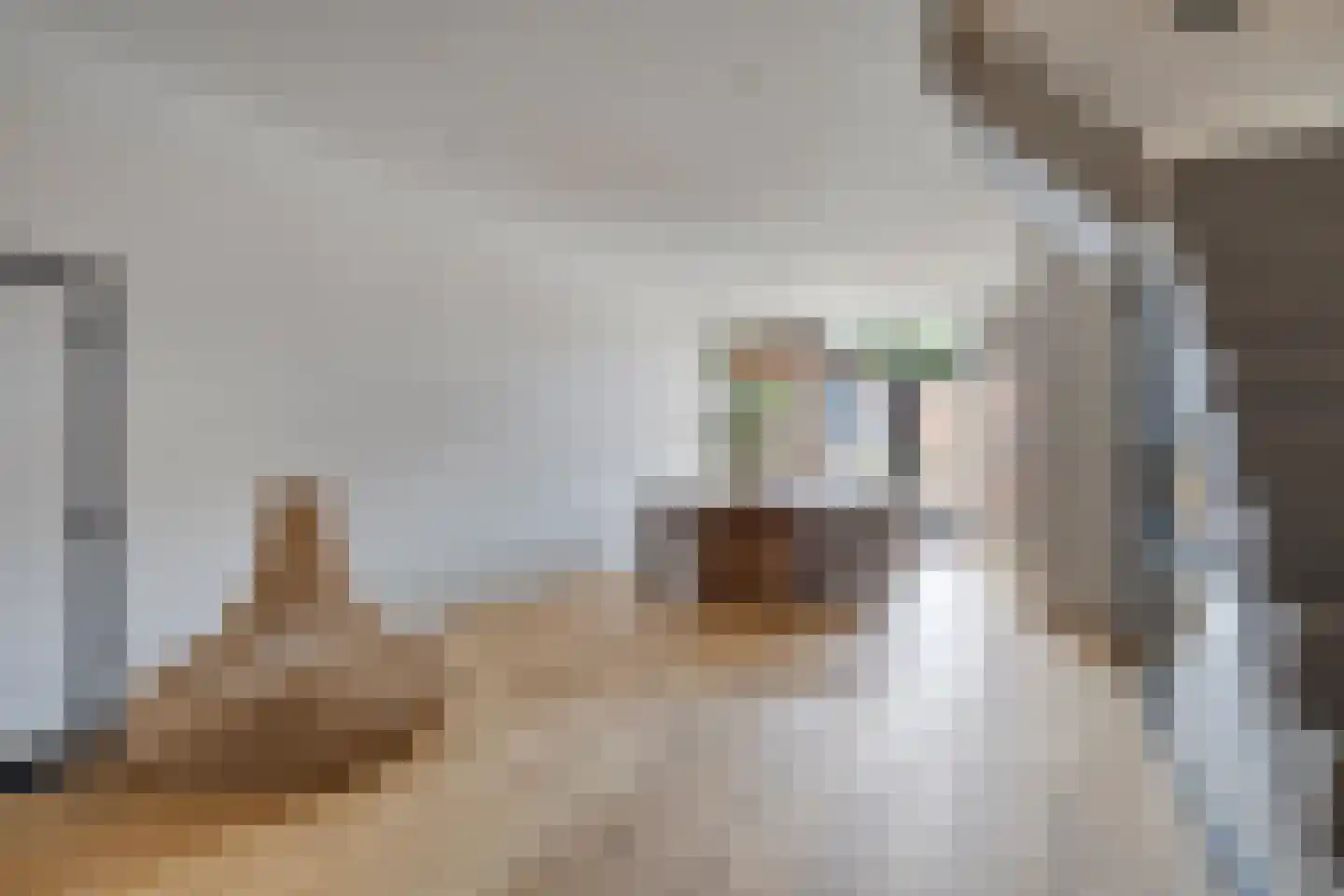 Sint Joostmeet 21 Zierikzee thumbnail 8
