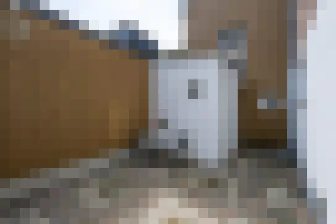 Sint Joris Doelstraat 15 Sommelsdijk thumbnail 27