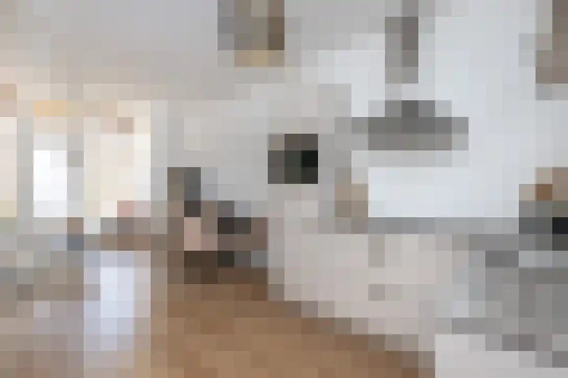 Sint Joris Doelstraat 15 Sommelsdijk thumbnail 4