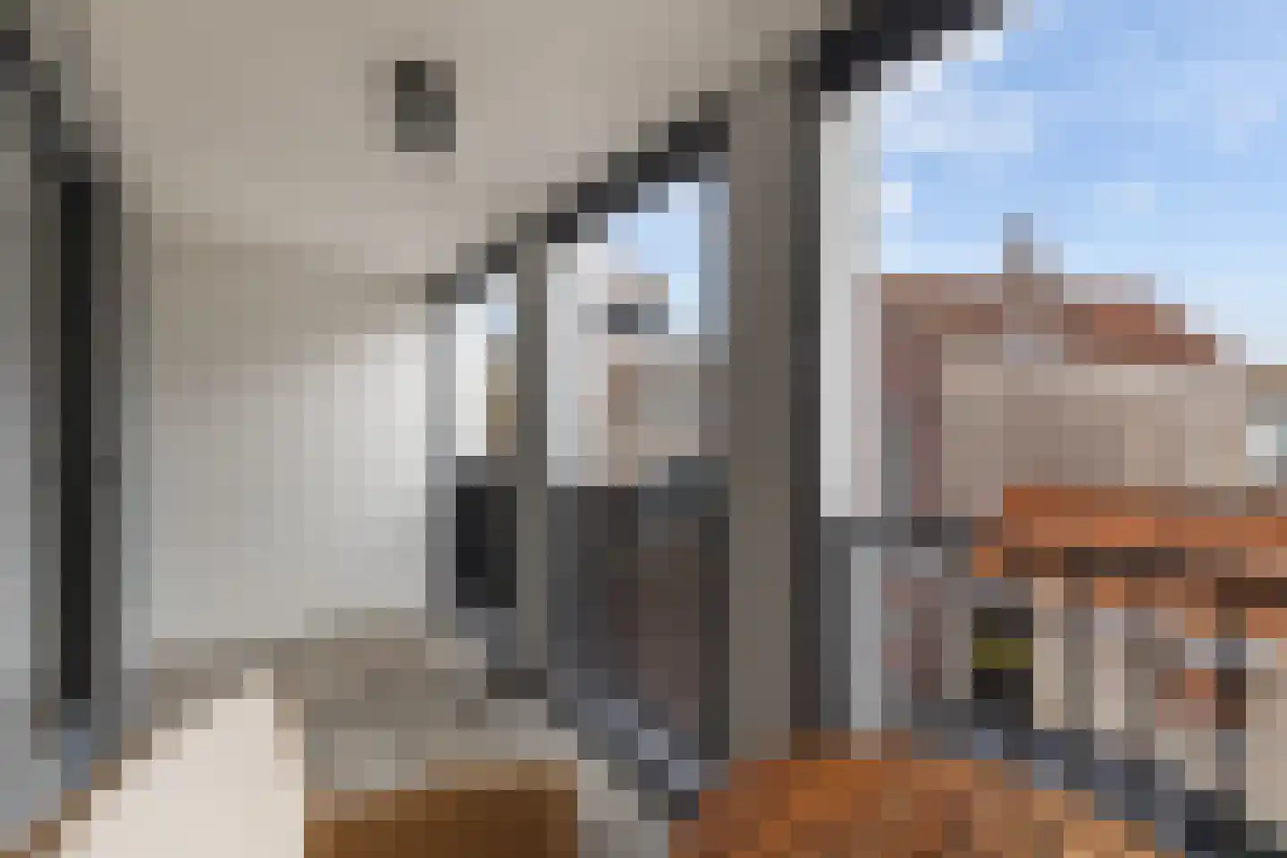 Sint Joris Doelstraat 7 c Sommelsdijk thumbnail 26