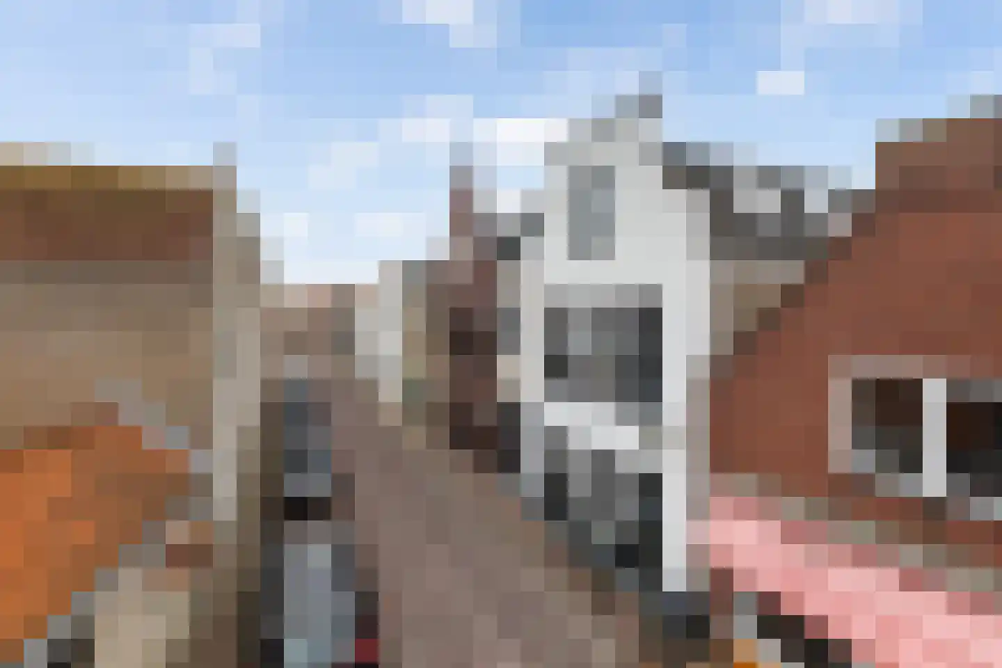 Sint Joris Doelstraat 7 c Sommelsdijk thumbnail 4