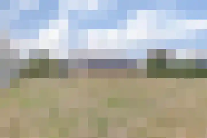 Sint Jorispad 19 Naaldwijk thumbnail 11