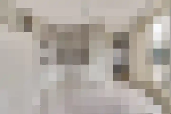 Sint Jorispad 19 Naaldwijk thumbnail 5