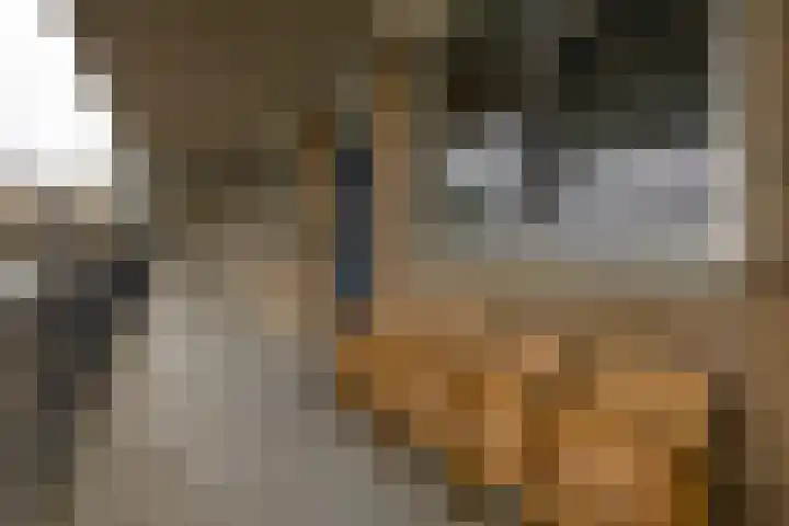 Sint Jorisplein 104 in Ridderkerk