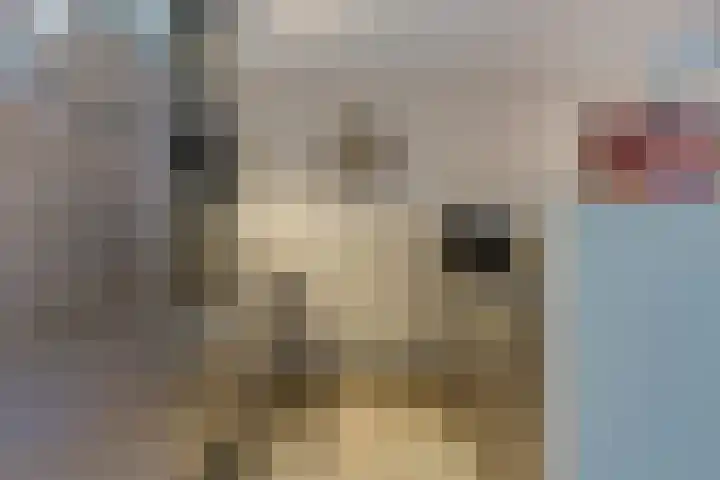 Sint Jorisstate 1 Rosmalen thumbnail 15
