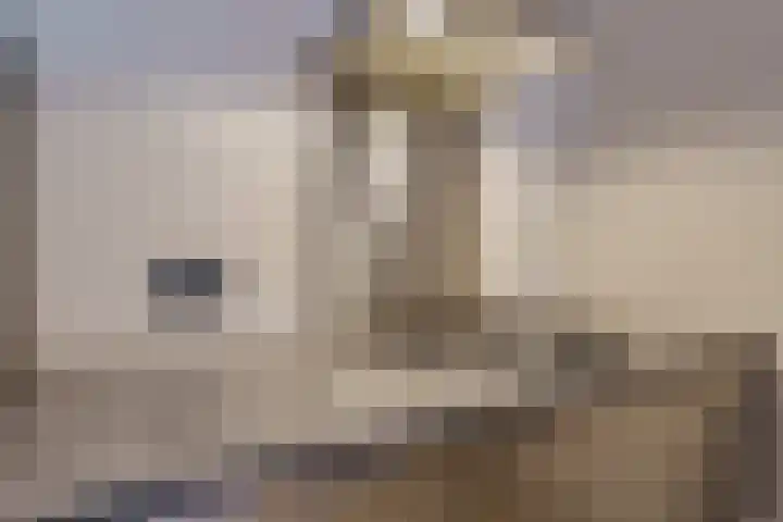 Sint Jorisstate 1 Rosmalen thumbnail 17